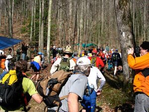 James Greene Raises £11.5K for Kevin Bell Trust in NYC Ultra