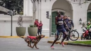 Kenyan Runner Overcomes Dog Attack to Finish Buenos Aires Marathon