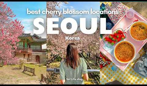 Korea Spring: Cherry Blossoms, Culinary Delights, and Cultural Richness