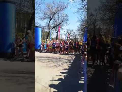 21st Cracovia Marathon Showcases Global Talent and Spirit