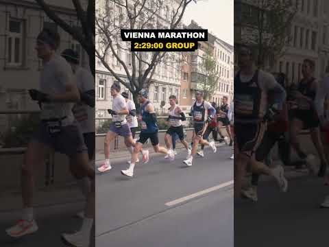 Vienna Marathon News: Join the Global Celebration of Running Excellence