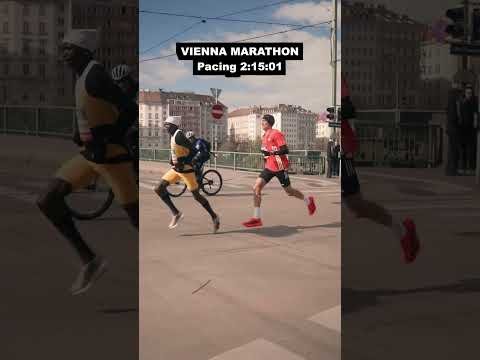 Unveiling the Latest Highlights from the Vienna Marathon Experience