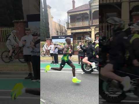 Melbourne Marathon Highlights: Kipchoge vs. Whelan in Epic Showdown