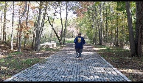 Inspiring Marathon Runner Stories: Triumphs from the TCS New York City Marathon